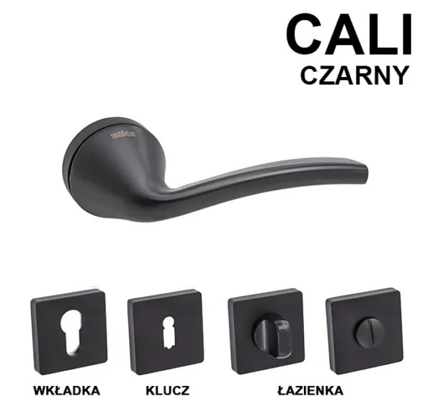 CALI - obrazek 2