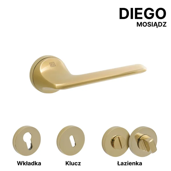 DIEGO - obrazek 2