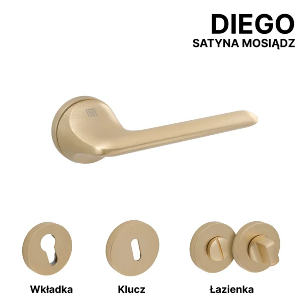 DIEGO - obrazek 5
