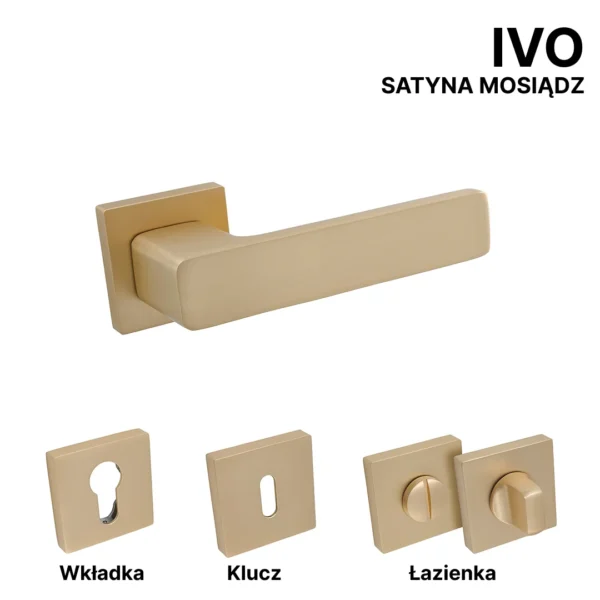 IVO - obrazek 2