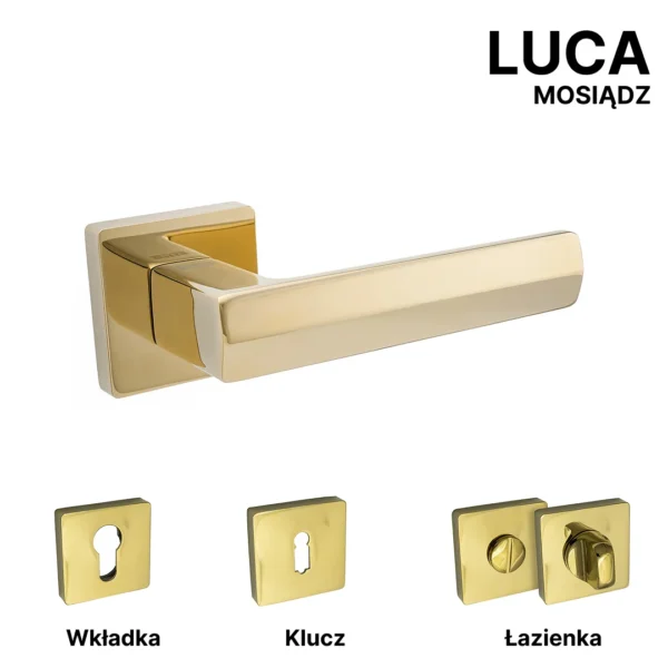 LUCA - obrazek 5